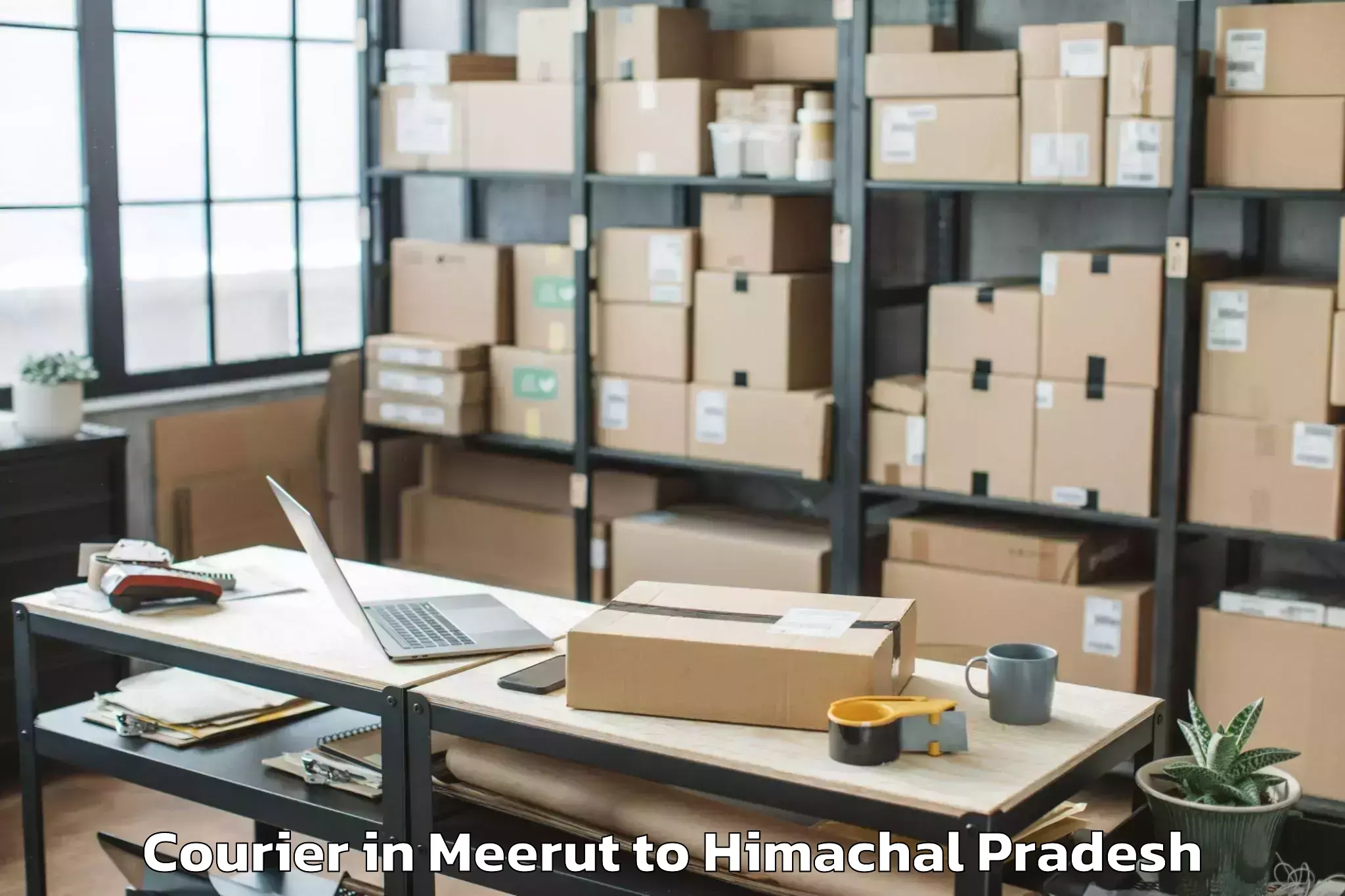 Affordable Meerut to Ghumarwin Courier